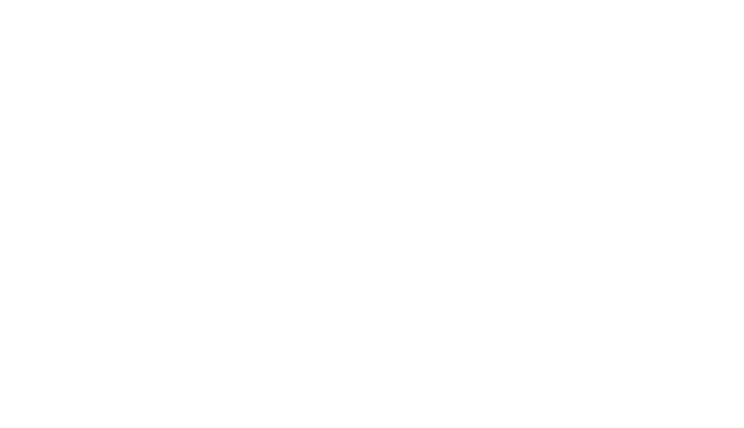 C2 Profit Academia